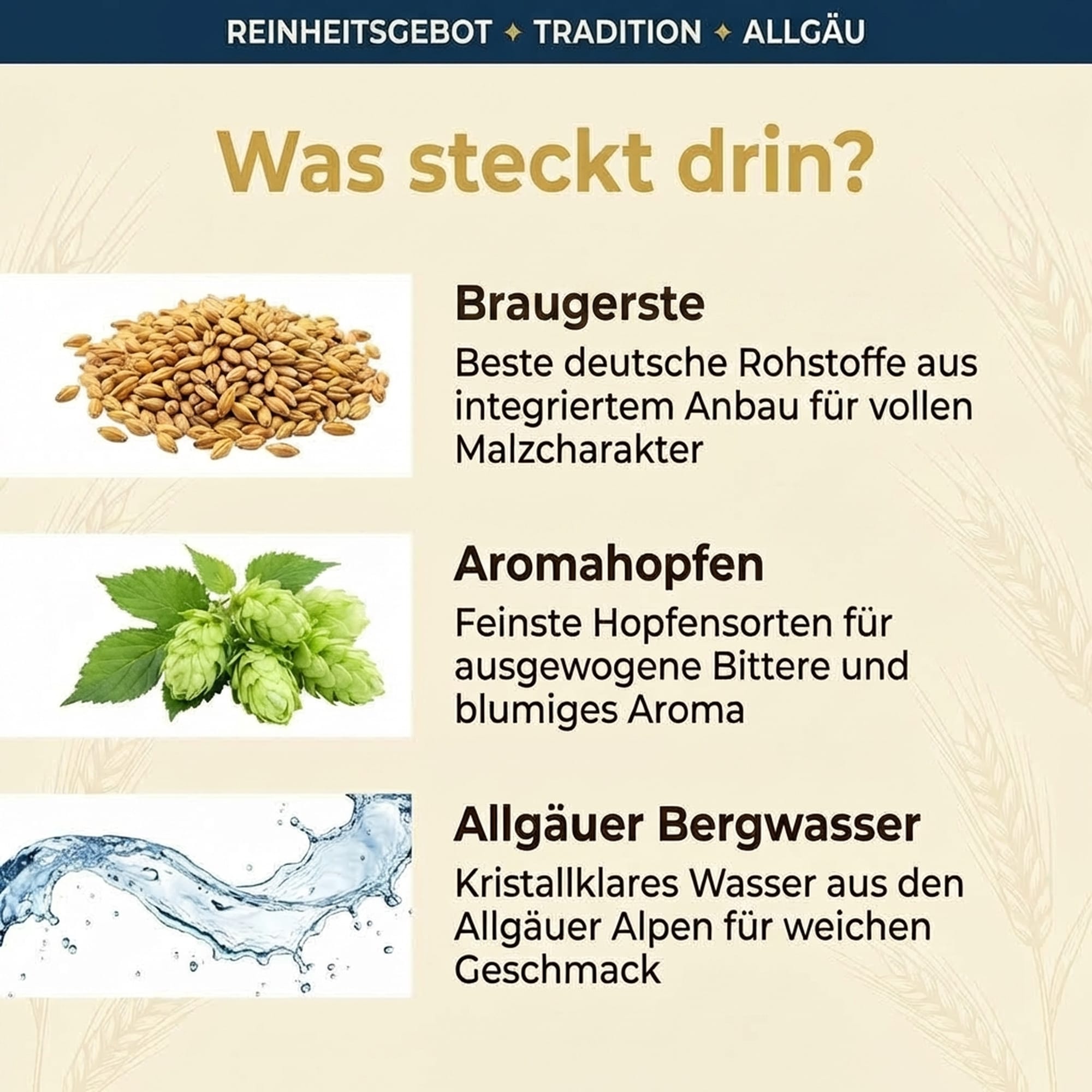 Engelbräu Engel Hell Partyfass 5,0l, alc. 4,9 Vol.-%