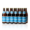 OANS - The new delicious beer, alc.4.9 Vol.-%, 12x0.5l