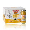 Voelkel Demeter Shot Ginger 0.76l, (8x95ml)
